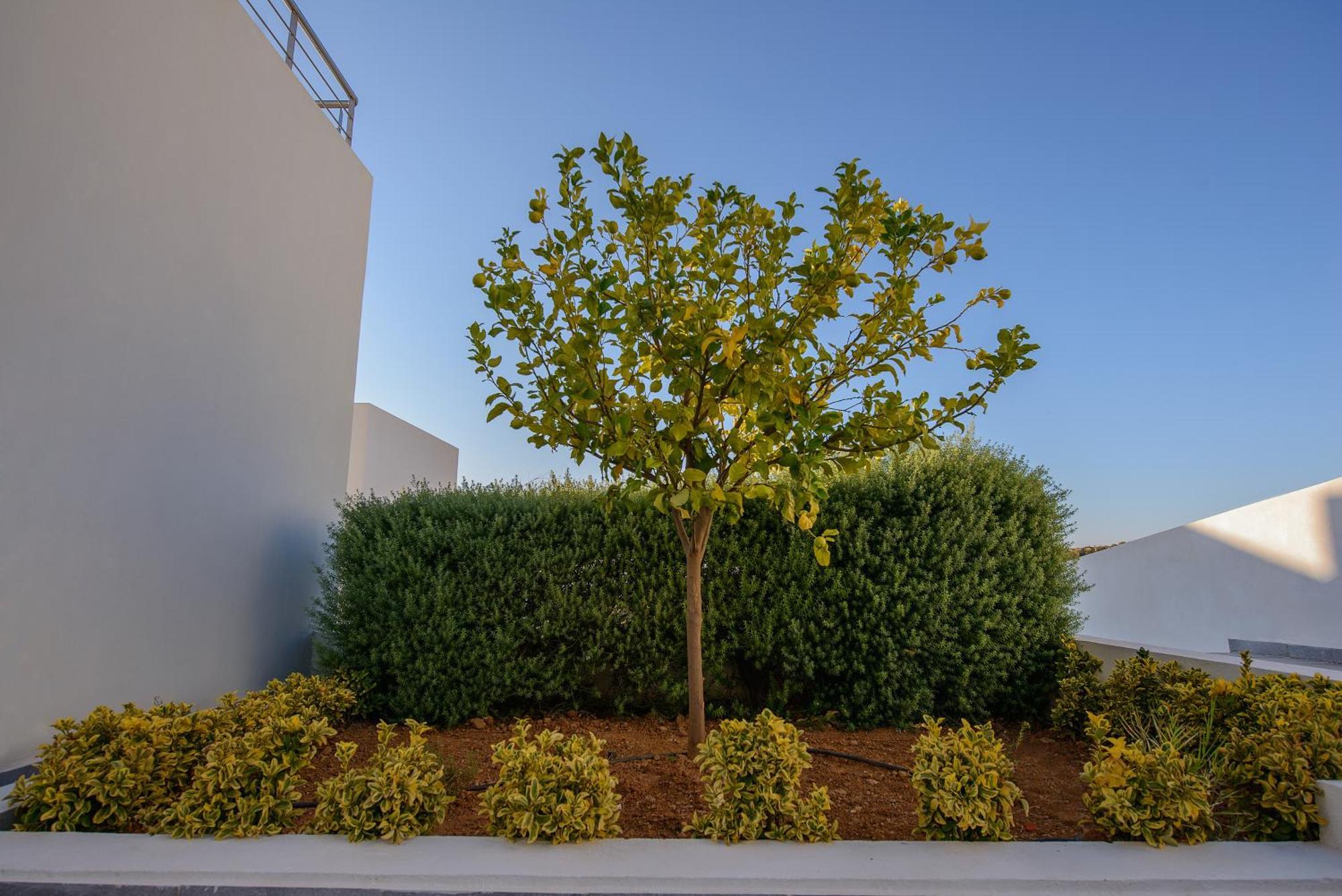 Lenikos 3* Agia Galini